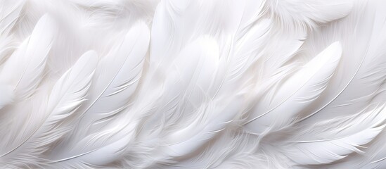 A macro photography event capturing the intricate pattern of grey feathers on a transparent material with a monochrome photography style on freezing white background
