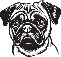 Charming Pug Silhouette: Adorable Black Vector Illustration Elegant Pug Badge: Stylish Iconic Vector Design