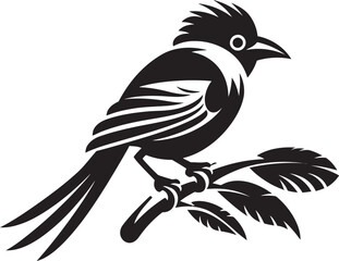 Ethereal Rainforest Bliss: Tropical Bird Perched on Branch Vector Black Logo Icon Radiant Feathered Beauty: Cute Tropical Bird on Branch Black Logo Vector Design
