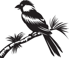 Enchanted Avian Serenity: Tropical Bird on Branch Black Logo Vector Design Majestic Jungle Elegance: Cute Bird Perched on Branch Vector Black Logo Icon