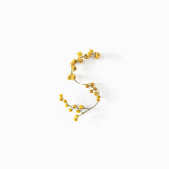 Flower letters. Letter S made from flowers mimosa yellow. Minimalism. Flower alphabet layout. Flat...