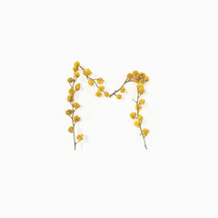 Letter M made from flowers mimosa yellow. Flower alphabet layout. Flat lay