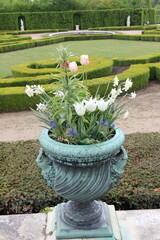 Flowers in the urn planter in the garden