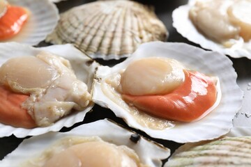 Fresh raw scallops with shells on table, closeup
