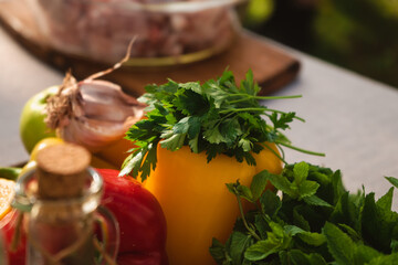 Fresh vegetables and raw meat with spices and oil on the table in nature in the warm sunny light. close up ingredients ready for cooking on grill outdoors on family picnic 