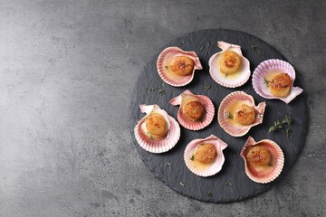 Delicious fried scallops in shells on grey table, top view. Space for text