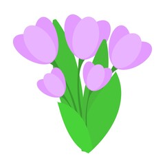Bouquet of five purple crocuses with green leaves. For design, creation of botanical patterns.