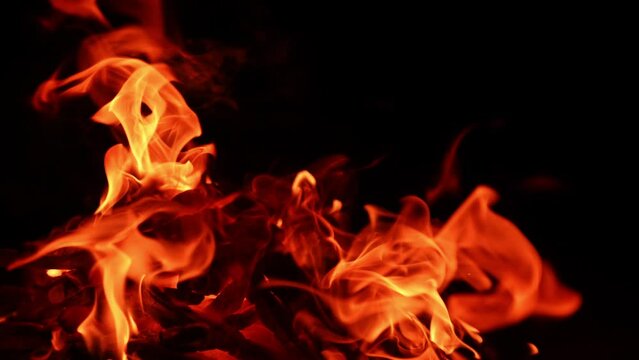 Red flames of campfire are blown by the wind to the ground. Bonfire burn at night. Close up.