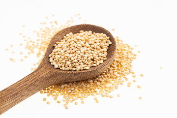 Chenopodium quinoa - Quinoa seeds in the spoon