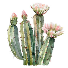 Watercolor Succulent Cactus
- 758322432