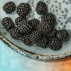 Blackberry fruit fresh healthy berry