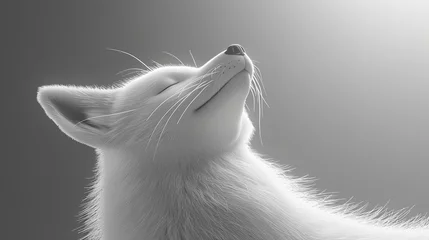 Fotobehang Close-up of fox face with white fluffy fur.  Animal in habitat in monochrome style. Illustration for cover, card, interior design, brochure or presentation. © Login