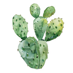 Watercolor Succulent Cactus
