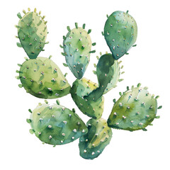 Watercolor Succulent Cactus
