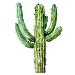 Watercolor Succulent Cactus
- 758331274