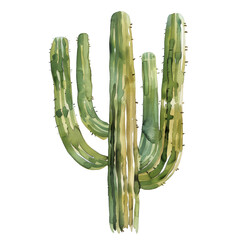 Watercolor Succulent Cactus
- 758331662