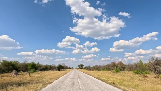 Forward view of vehicle driving on straight tarmac dirt road with bright blue sky and African safari bush savannah fields with shrubs, etosha, namibia, africa, journey, camp, adventure