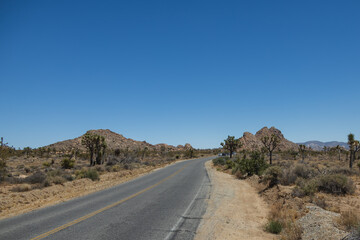 Joshua Tree National Park, California, USA
