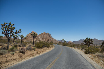 Road through Joshua Tree National Park, California, USA