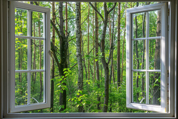 A tranquil forest scene visible through an open window. Suitable for nature and relaxation concepts