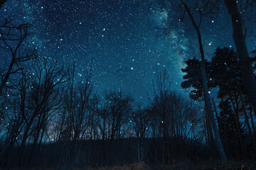 Night sky filled with stars and trees, perfect for background use - obrazy, fototapety, plakaty