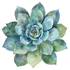 Watercolor Succulent Cactus
- 758336244