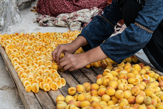 Malatya apricots