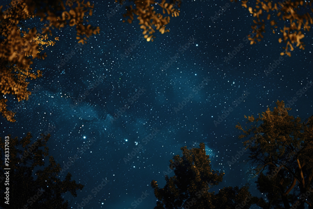Poster a peaceful night sky with trees in the foreground. ideal for nature and astronomy concepts