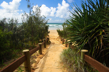 Path to The Pinnacles, colorful sand cliffs located along the 75 Mile Beach on the east coast of...