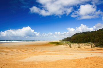Fototapeta premium The Pinnacles are coloured sands cliffs located along the 75 mile beach on the east coast of Fraser Island, Queensland, Australia - They have been stained over thousands of years with clay