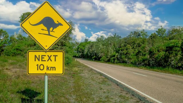 Fun and warning sign for kangaroo skiing on Austalian country road. Amusing and cautionary sign depicting a kangaroo skiing on an Australian country road. Cinemagraph.
