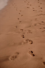 A series of human footprints mark a trail on the wet sand of a beach, hinting at a solitary walk by the water's edge. Trail of Footprints on Sandy Beach Shoreline.