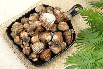 Kerang dara or kerang darah (Anadara granosa). commonly consumed by East Asian and South East Asian...