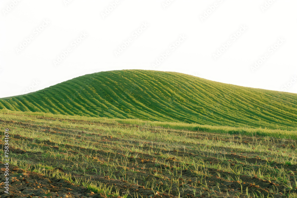 Poster a peaceful field with a hill in the background. suitable for nature and landscape themes