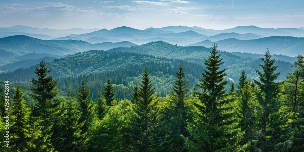 Poster a scenic view of pine trees in a mountain range. suitable for nature and travel concepts