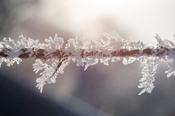 snow covered rope. Detail of frozen wire. snow crystals in backlight with blurry background. Winter...