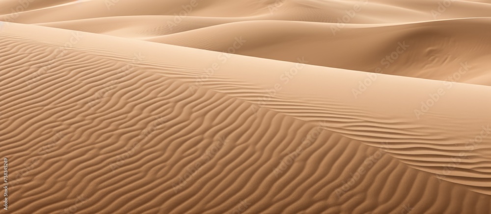 Poster a close up of a sand dune in the desert reveals intricate patterns and tints of shades created by th