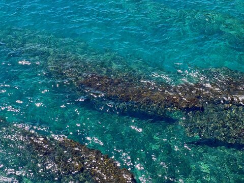 Sea glittering blue turquoise water aerial view. 