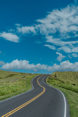 Fototapeta premium Hawaii's most beautiful country roads. Mauna Kea. Saddle Road / Waiki'i Ranch., Hawaii island / Big island