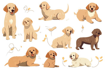 characters golden cartoon labrador hand design fferent collection dog flat dog set retriever retriever color drawn vector poses cute puppy