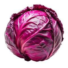 Obraz premium Red cabbage isolated on Transparent background.