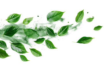 Soft green leaf drifting isolated on transparent background