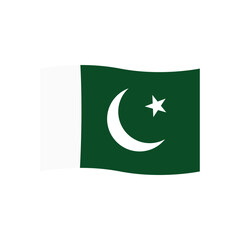 Pakistan flag icon vector