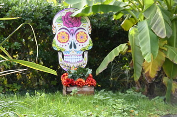 Décorations pour El Dia de los Muertos