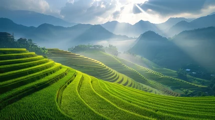 Fotobehang beautiful green terrace rice field at Mu cang chai, Vietnam. © ANEK