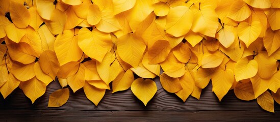 A collection of yellow leaves adorns a wooden table, creating a beautiful contrast of colors and...