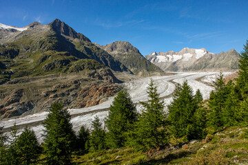 Jungfrau-Aletsch protected area, Bernese Alps, Switzerland