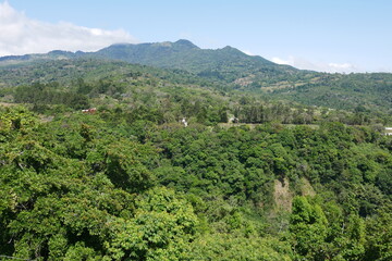 Tropischer Regenwald und Berglandschaft in Boquete Panama