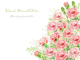 カーネーションのフレーム