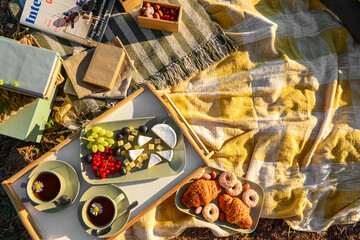 Picnic with tasty food, tea and books in field, top view